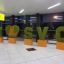 There was a failure of the registration system at Sheremetyevo airport