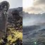 Stone statues on Easter Island badly damaged by fire
